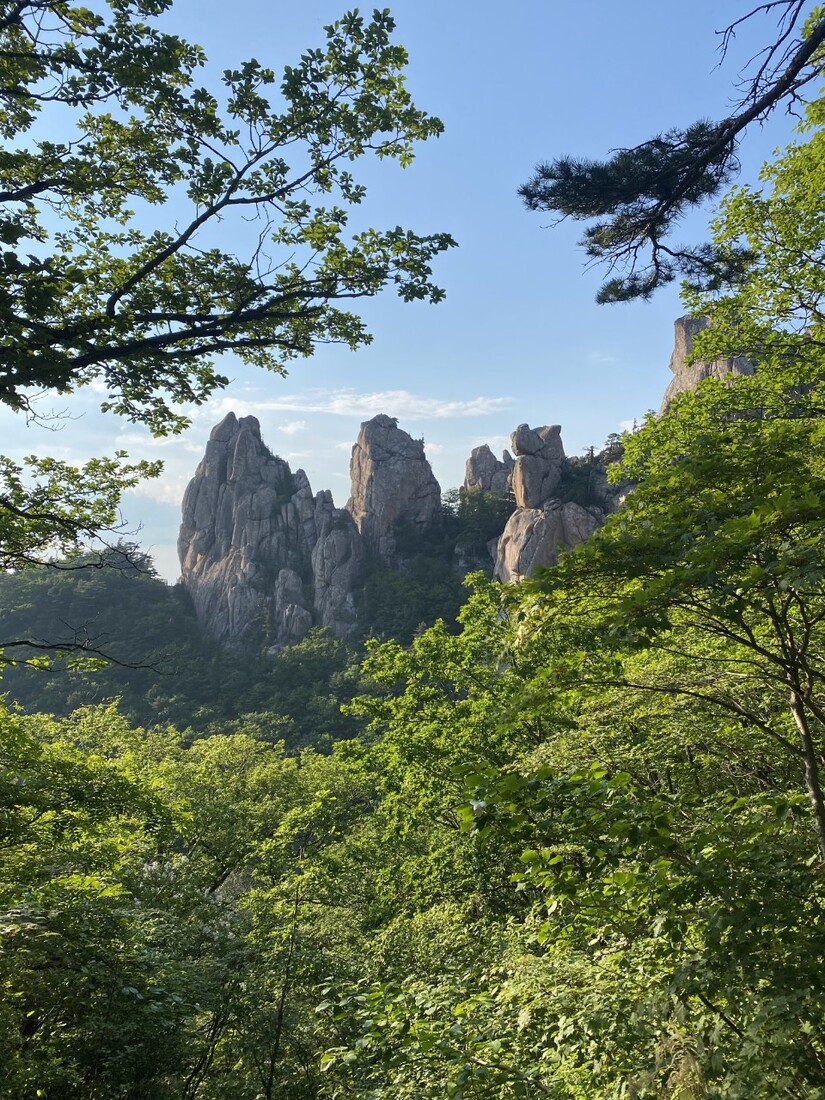 송산 22 친구_사진_20240616_7.jpg