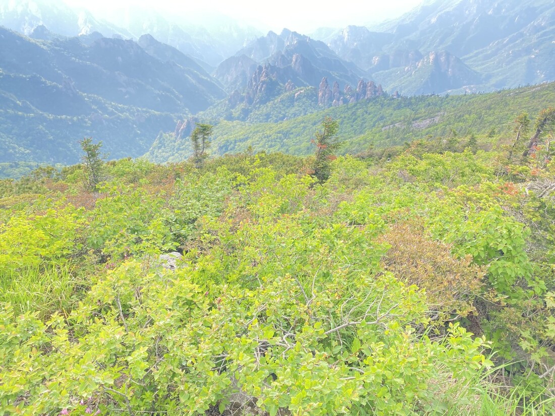 송산 22 친구_사진_20240616_15.jpg