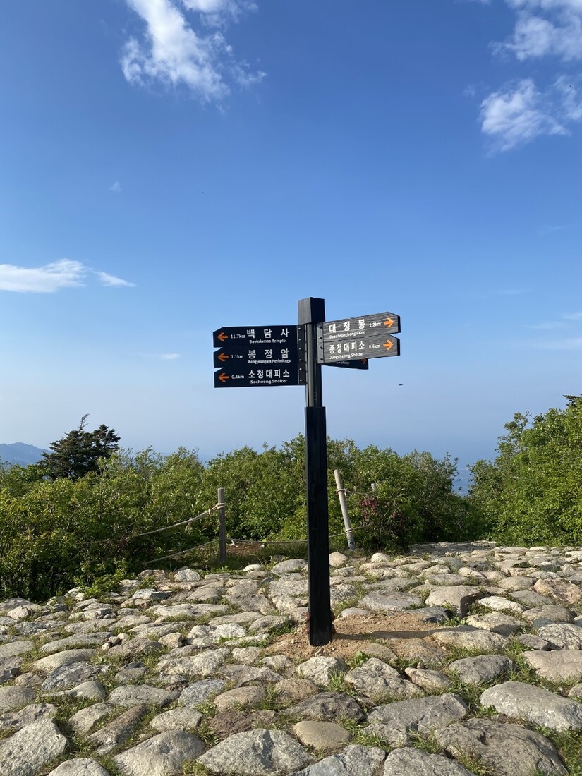 송산 22 친구_사진_20240616_9.jpg