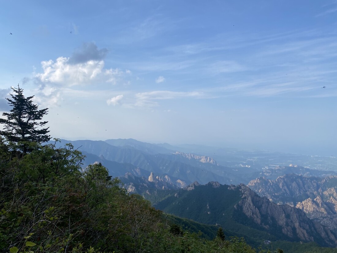 송산 22 친구_사진_20240616_14.jpg