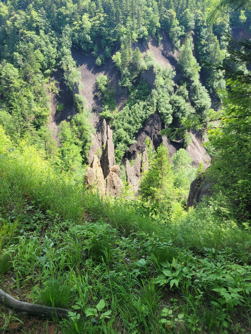 20260627_131525.jpg